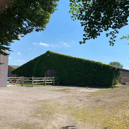 B&B De Vlierbeek Sint-Niklaas Luaran gambar