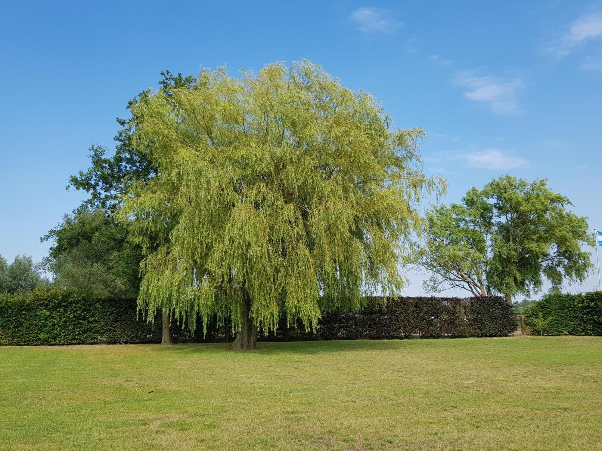 B&B De Vlierbeek Sint-Niklaas Luaran gambar